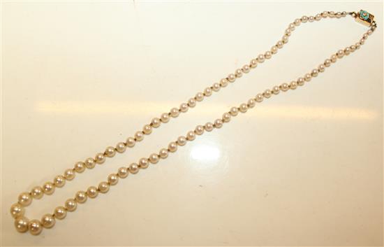 Pearl necklace - gold clasp